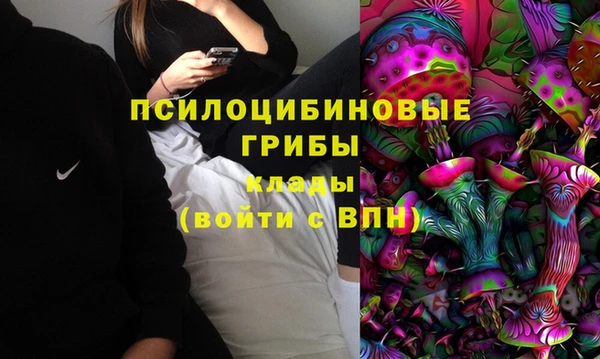мдпв Россошь